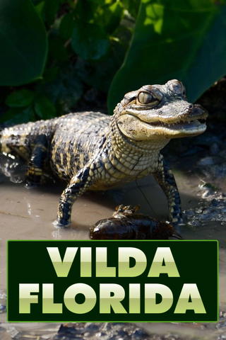 Vilda Florida