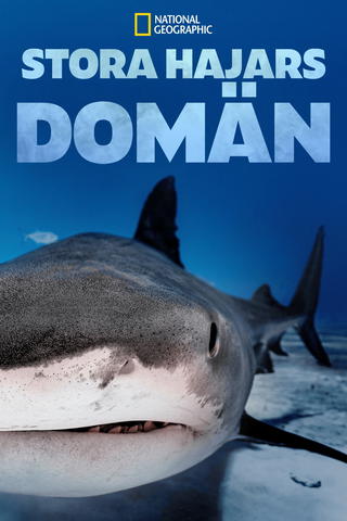 Stora hajars domän