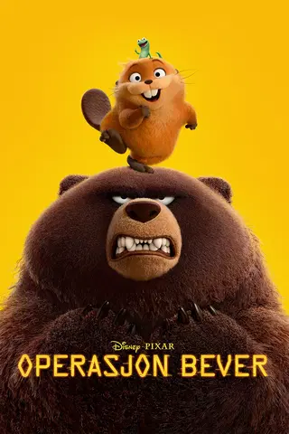 Operasjon bever