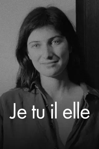 Je tu il elle