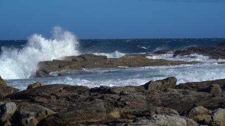 Newfoundland