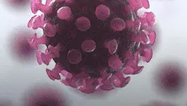 Especial Coronavirus en A3