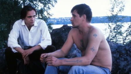 Klaani – tarina Sammakoitten suvusta