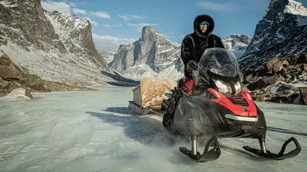 Operation Arctic Cure