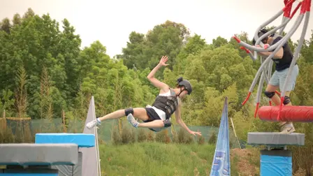 Wipeout