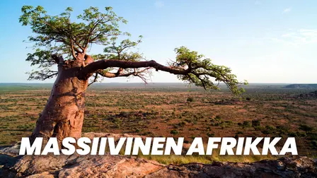 Massiivinen Afrikka