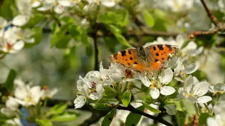 Historias de Primavera