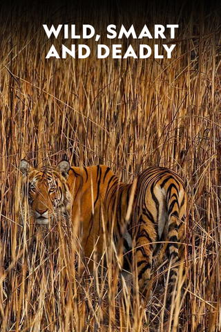 Vild, Smart och Livsfarlig