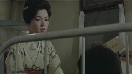 A Geisha's Diary