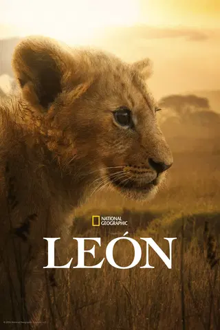 León