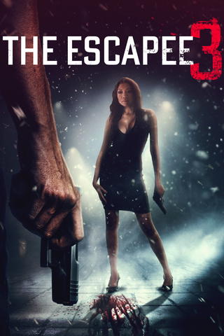 The Escapee 3