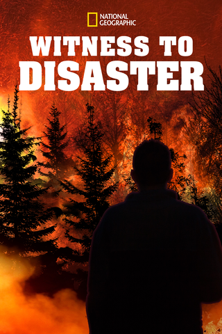 Witness to Disaster