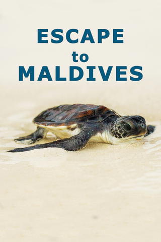 Escape to Maldives