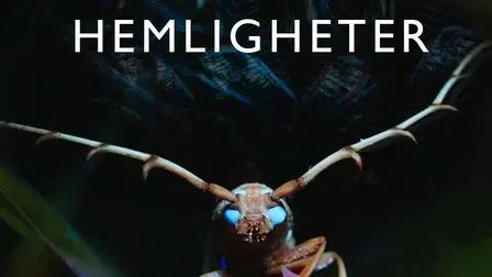 Vetenskapens värld: Jakten på insekternas hemligheter