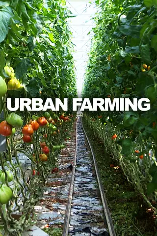 Urban Farming