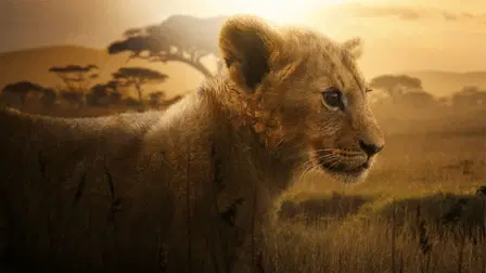 Lion