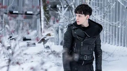 The Girl In The Spider's Web