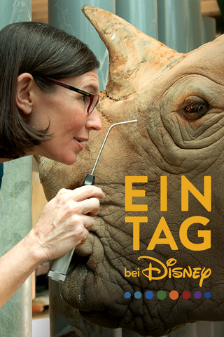 Ein Tag bei Disney
