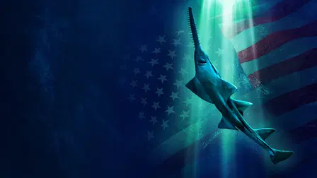 Alien Sharks: Untamed America