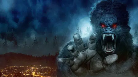 House Squatch
