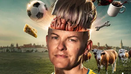 Sanningen om Sveriges huvudvärk
