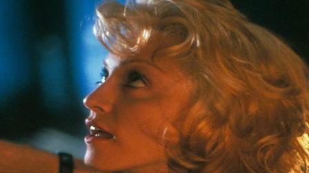 Body of Evidence