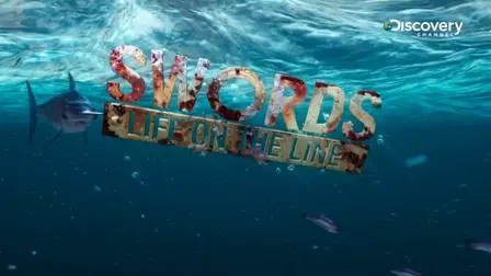 Swords: Life on the Line