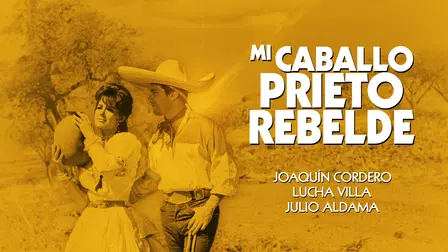 Mi caballo prieto rebelde