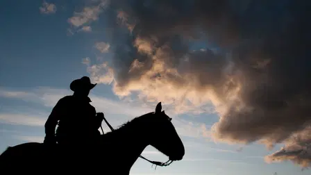 Last American Cowboy