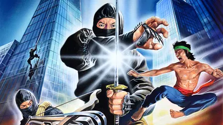 Der Ninja