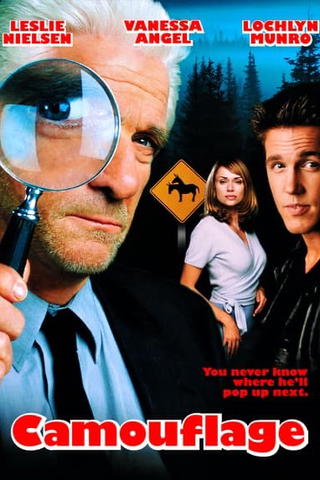 Camouflage: professione detective