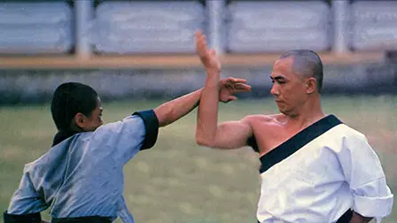 The Little Hero of Shaolin Temple