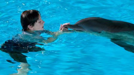Dolphin Tale