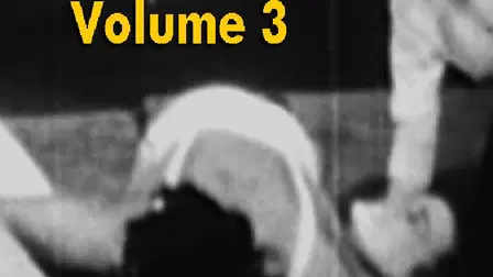 Wrasslin’ She-Babes Vol 03