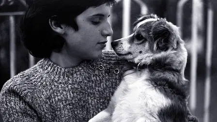 Cerchiamo per subito operai, offriamo...