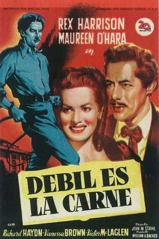 Débil es la carne