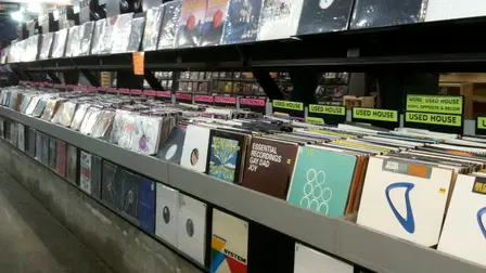 Vinylmania: When Life Runs at 33 Revolutions Per Minute
