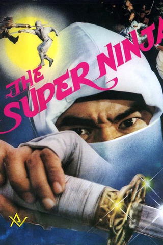 El escuadrón de los ninjas