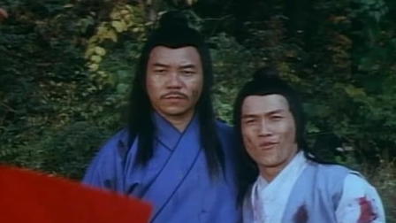 Shaolin Drunken Fight