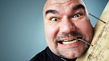 Totally Bonkers Guinness World Records