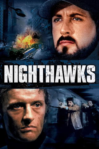 Nocny Jastrząb