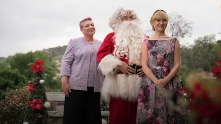 A Cinderella Christmas