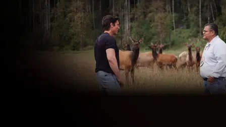 Seven Natural Wonders of America with David Muir