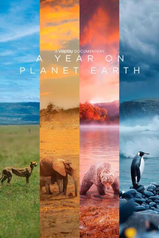 A Year On Planet Earth