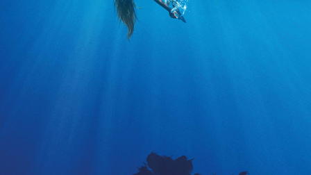 Under the Silver Lake