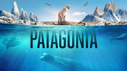 Patagonia: Life on the Edge of the World