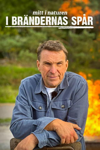 Maastopalojen jäljillä