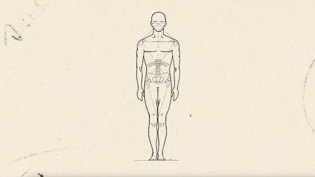 Ida Rolf - Mother Of Fascia