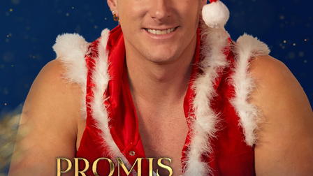 Promis unterm Weihnachtsbaum - Das Quiz für die ganze Familie