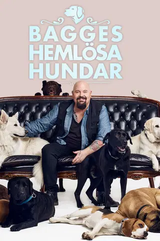 Bagges hemlösa hundar
